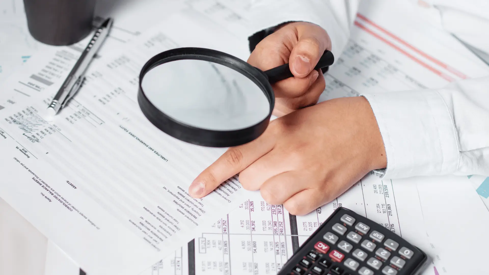 Provide Insights into Balance Sheet, Cash Flow and P&L Statements